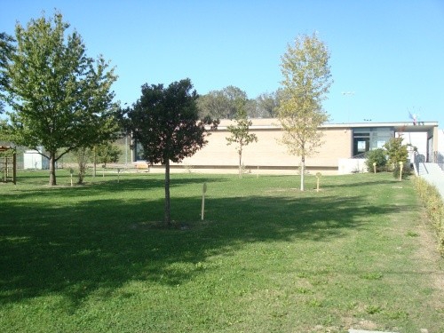 Il TRU.MU (Museo del Tartufo)