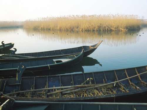 Barche sul fiume Mincio