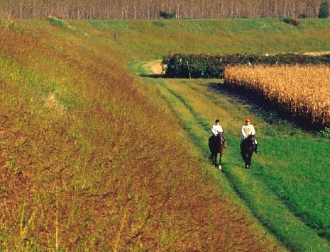 Campagna mantovana Campagna mantovana