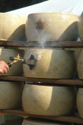 Grana padano, marchiatura Grana padano, marchiatura