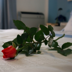 B&B Alle rose Rodigo B&B Alle rose Rodigo