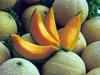 melone mantovano
