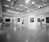 La galleria del Premio Suzzara