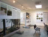esposizione