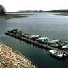 Pontile