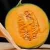 art_melonaria 2013