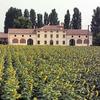 Agriturismo Costavecchia San Giorgio MN