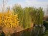 70d664a45b2c6f0e1293ea8220a6d50e