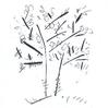 Albero incantato 2011-2012