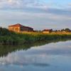 Moglia Verdeacqua.