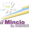 Il Mincio in Canoa