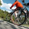 Roundabike