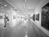 Allestimento della galleria