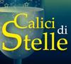 Calici di stelle 2009
