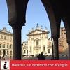 Annuario