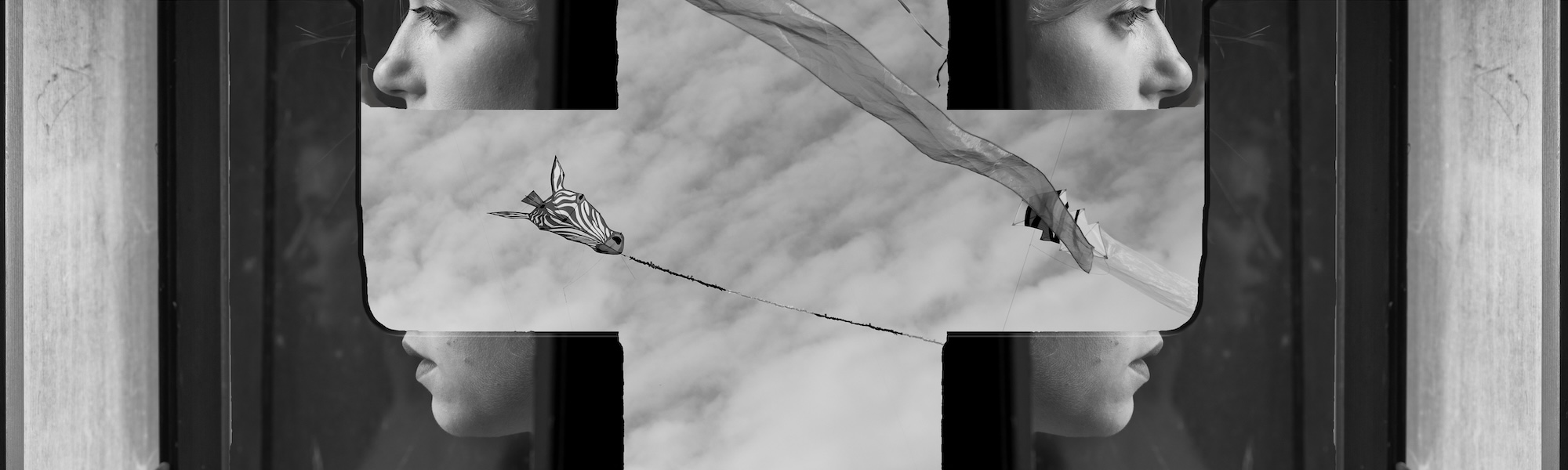 MARINA TOMASI, Il ciclo della vita