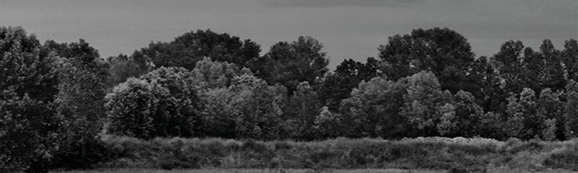 Nel silenzio del Grande fiume, vagabondando lungo la traccia del Po