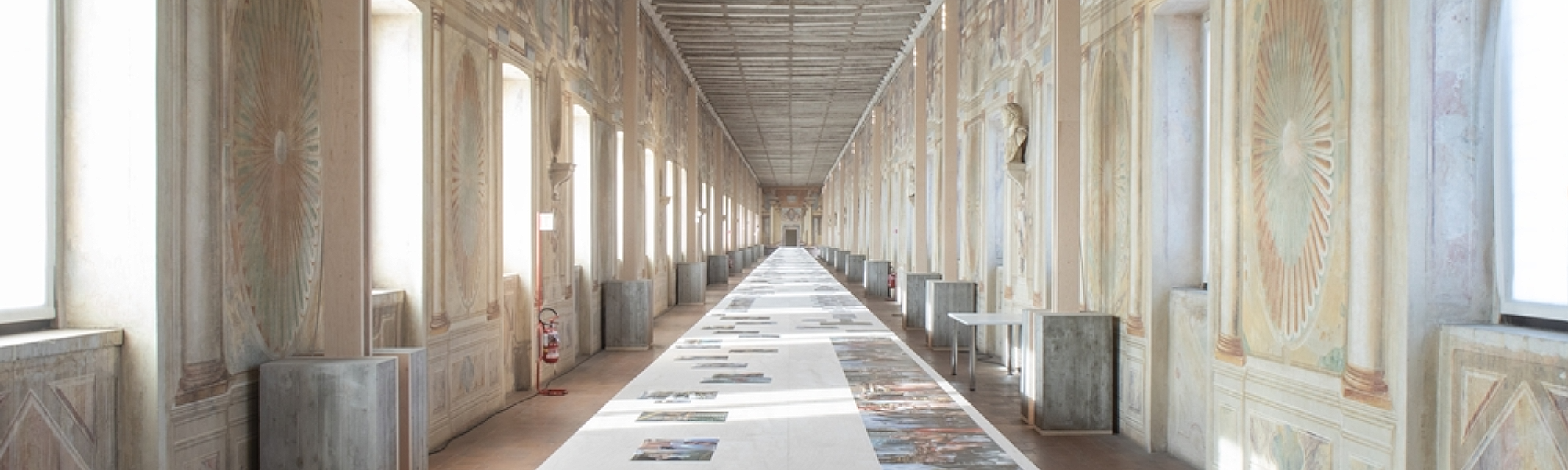 7 1/2  di Juergen Teller